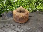 Old Rare Vintage Antique Civil War Relic Parrott Artillery Shell   3 Case Shot