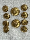 Polo Ralph Lauren Waterbury Gold Mallet Crest Button Set For Blazer Usa Vintage