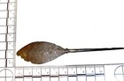 Rare Medieval Tanged  Flanged  Bilobate Iron Broadhead  Balkans 1100-1399 A d 