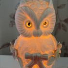 Vintage Snowy Owl Night Light Table Lamp Ceramic Figural Flowers Bow 7  Read