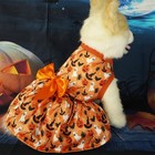 Halloween Puppy Dress For Small Dog Pumpkin Ghost Cat Costumes Orange Bow Tie   