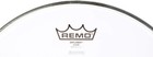 Remo Clear Diplomat Drumhead - 14 