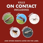 Spectracide Bug Stop Home Barrier 32 Ounces  32 Fl Oz  pack Of 1  