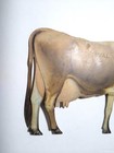 De Laval Tin Cow Advertising Delaval Cream Separator Farming Dairy History