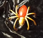 Antique 1930s Red Bakelite   Brass Spider Pin Art Deco Vintage Brooch 