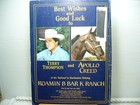 Vintage Appaloosa News Magazine Original July 1985
