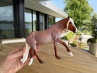 2026 Breyer  Collector Club Gamblers Choice   Maya   Flaxen Chestnut Roan