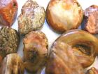 Mexico Agate Rough Smaller Jewelry 1-2  1 Pound Lots Free Priority Shipping 