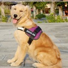 Reflective Service Dog Harness Mesh Vest With Removable 2 Patches Emotional Esa