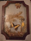 Vintage Real Butterflies Framed With Dried Flowers  Set Of 2