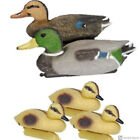 Floating Duck Family Decoy Pack  Includes Male   Female Mallards And 3 Ducklings