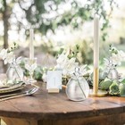 2pcs Angel Hanging Glass Vase Angel Flower Plant Terrarium Container Wedding    