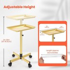 Tasalon Rolling Salon Tray With Wheels - Adjustable Height Trolley