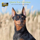 2 Sets Dog Ear Posting Kit - Doberman Ear Stand Up Tool With Tape
