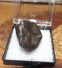 85 Gm  Baby Campo Del Cielo Meteorite  Aa  Grade  Case Affordable