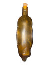 Suffolk Bitters Repro Bottle 1970 Amber Pig Hog  America   s Life Life Preserver