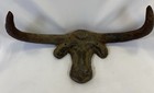 Vintage Cast Iron Long Horn Bull Wall Mount Decorative Collectible Hat Hook