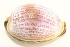   Ea  1900 s  Carved Shell With Lord s Prayer Sailor s Art