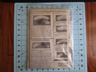 The Wedding Star Paper Pieced Quilt Pattern 54  X 54  By Judy Niemeyer 1997