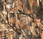Ridge Raider Conceal Camo Film Hydrographic Water Transfer Hydro Dipping Dip