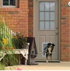 Ideal Pet Designer Series Ruff Weather Door Medium 7 25  X 13     New In Open Box