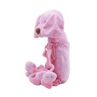 2 In 1 Dog Toddler Safety Harness Backpack Children s Walking Leash    Fast Ship