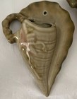 Hull Pottery Woodland Conch Shell Wall Pocket Planter Vintage Set Of 2