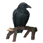 Black Raven Bird On Tree Branch Figurine Crow Gothic Decoration Collectible New