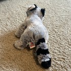 Ganz Webkinz Raccoon Plush Stuffed Animal No Code Retired