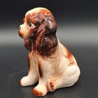 Vintage Mcm Tilso Japan Cocker Spaniel Dog Porcelain Figurine Mid Century