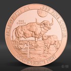 1 Oz Year Of The Ox Copper Round  999 Fine Copper Bullion 1 Avdp Ounce