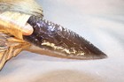 Clear Black Obsidian Paleo Dagger Knife  Flint Knapping Black Powder