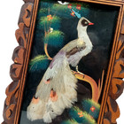 Vintage Paint   Feather Art Tropical Bird Hand Carved Frame