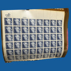 Mnh 1984 Eleanor Roosevelt Sheet Of 50 20c Stamps Scott  2105