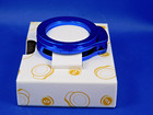 Princess Cruise Lines Premier Exclusive Clip Metallic Blue Medallion Accessory 2