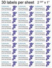 30 Violet Flowers Butterfly Personalized Return Address Labels 1  X 2 625 