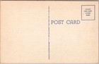 Vintage Texas Large Letter Postcard Multi-view Cowboy Scene Curteich Linen C1939