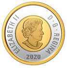          Rare Canada Coloured Toonie 2 Dollars Coin Polar Bear 99 9  Silver Unc 2020