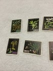 Venezuela- -1962- -scott  c794-c803-orchids set Of 10 Stamps mnh-lot   51a 