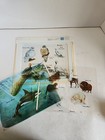 14 Transparencies Overhead Projector Film School 1971 Wildlife Of North America