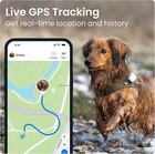 Tractive Dog Gps Tracker With Activity Monitoring  Fits Any Collar  white 