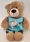 Surf Bear Build A Bear Plush 2020 35cm Tall