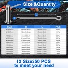 250pcs Cotter Pin Assortment Kit  12 Sizes  304 Stainless Steel  Hardware Pins