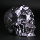 3 5  Zebra Jasper Carved Crystal Skull  Realistic  Crystal Healing