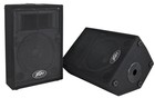 Peavey Dj 2-way 100 Watt Pa Speaker System With 10  Woofers 2 Speakers Pvi10
