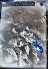 Rare Original Glass Negative  Cherry Kearton Seabirds With Nature   Camera 1897
