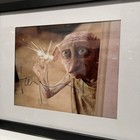 Toby Jones Signed 8x10 Photo Voice Actor Autographed Harry Potter Dobby W  coa 