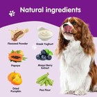 Probiotics For Dogs Digestive Enzymes For Good Health Itchy Skin 120 Chews