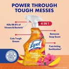 Lysol All Purpose Cleaner Spray  Multi-purpose 32 Fl Oz  pack Of 1  