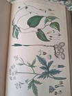 Antique Books Farmer s Dictionary Of Agriculture Colour Plates Flowers Machinery